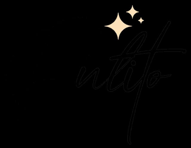 Pulito logo